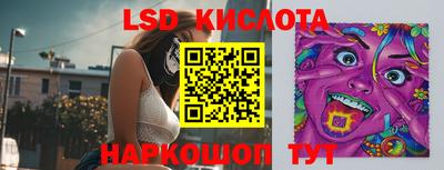 индика Лесосибирск