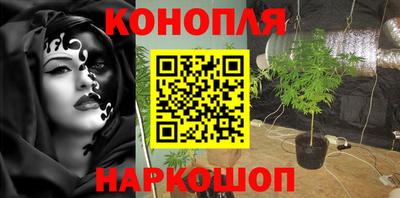 индика Лесосибирск