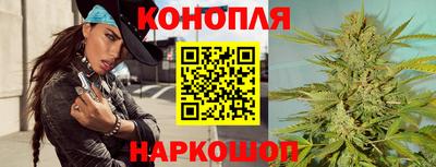 индика Лесосибирск