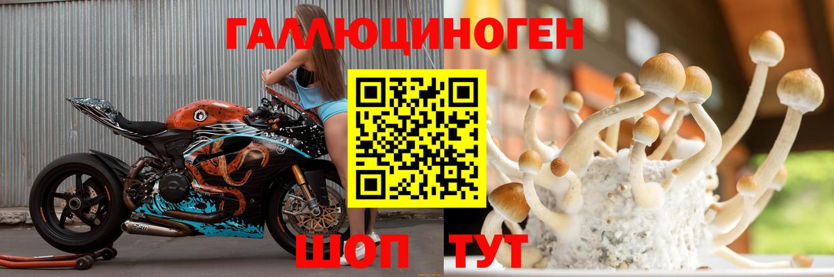 Галлюциногенные грибы MAGIC MUSHROOMS Ивантеевка