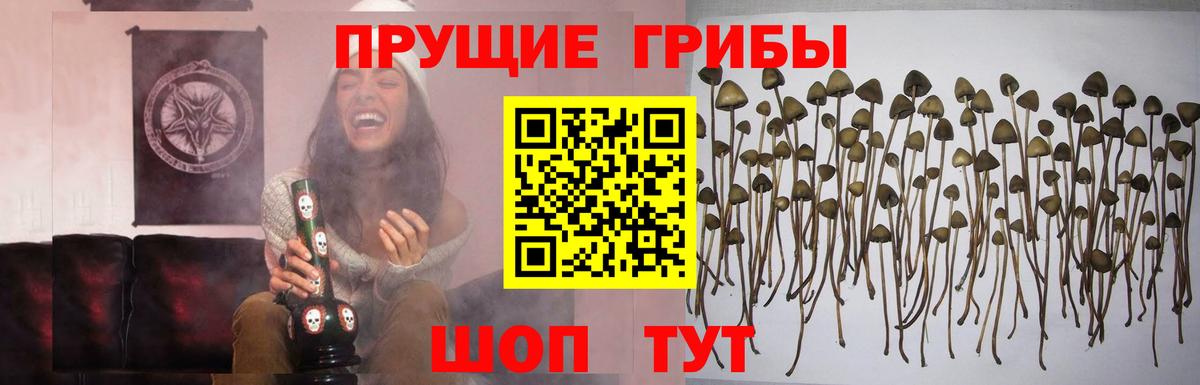 Псилоцибиновые грибы ЛСД  Галлюциногенные грибы MAGIC MUSHROOMS  как найти закладки  Ивантеевка  Вход с VPN 